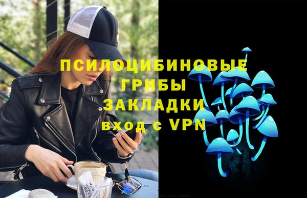 крисы Гусев