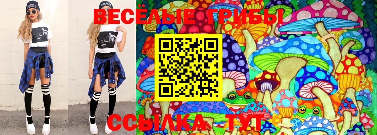 Галлюциногенные грибы MAGIC MUSHROOMS  Вход с VPN  дарнет шоп  Псилоцибиновые грибы Psilocybe  Горно-Алтайск 