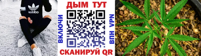 Канабис Ganja Горно-Алтайск
